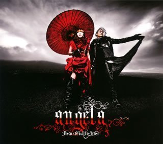 Beautiful fighter 初回限定盤