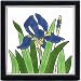 FLOWER-TRIVETS-WALL PLAQUES-BLUE IRIS TILE by Besheer Art Tile, Bedford, New Hampshire, U.S.A.