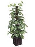 Pack of 2 Artificial Potted Deluxe Sygonium Pole Plants 3'