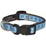 Sassy Dog Wear 6-12-Inch Blue/Brown Puppy Paws Dog Collar, X-Small