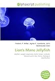 Lion's Mane Jellyfish-