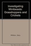 Grasshoppers and crickets