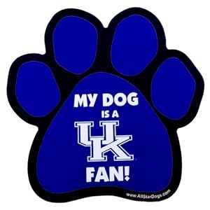 Amazon.com : NCAA Kentucky Wildcats Paw Print Car Magnet : Sports Fan ...