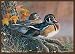 Associated Weavers "Wood Ducks" Wildlife Rug 36"x52"