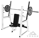 Giant Olympic Shoulder Press Bench
