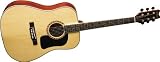 Washburn D9 Series D9K Acoustic Guitar