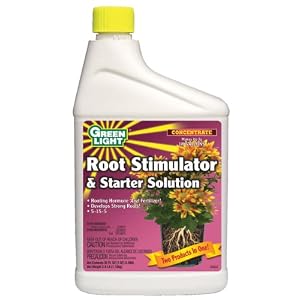 Green Light Plant Starter -qt. Model 5932 Pack of 12 by 