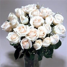 Two Dozen Long Stemmed Premium White Roses
