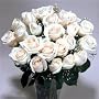 Two Dozen Long Stemmed Premium White Roses