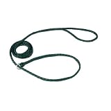 Kennel Slip Lead - Braided Polyethylene - GREEN