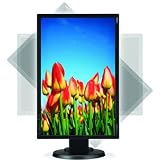 NEC E222W-BK 22 inch Widescreen LCD Monitor 1680X1050 DVI PIVOT HT ADJ Black