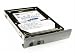 Axiom - Hard drive - 80 GB - internal - EIDE