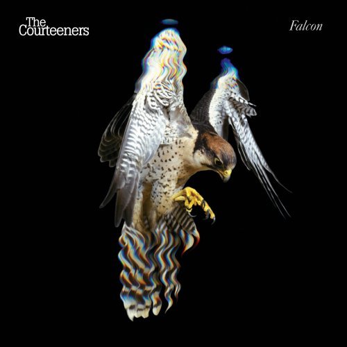 The Courteeners Foto