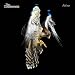 Courteeners - Falcon