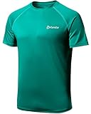 TM-MTS03-FGN_Large j-XL Tesla Men's HyperDri Cool T Shirt Sports Running Short Sleeve Athletic Top