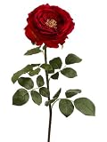 Allstate Floral 27 Inch Pack Of 12 Artificial Red