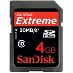 SanDisk SDHCカード Class10 4GB SDSDX3-004G-J31A