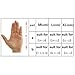 BIAL-SG Taekwondo Sparring Gloves Hand Protector Gear (M)