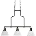 Progress Lighting P4282-20 3-Light Linear Chandelier with White Etched Glass, Antique Bronze by Progress Lighting