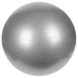 Sunny Health & Fitness Anti-Burst Gym Ball, 65 CM
