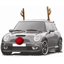Reindeer Auto Outfits