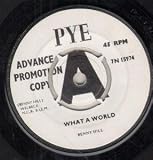 WHAT A WORLD 7 INCH (7" 45) UK PYE 0