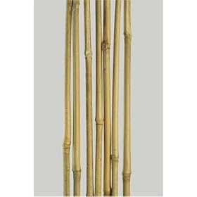 Bamboo Garden Stakes 3 8 X 5 Feet, 15 Poles Per Carton by 