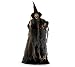 Standing Witch That Cackles and Chants