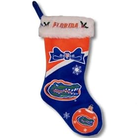 Florida Gators Royal Blue-Orange Logo Plush Stocking