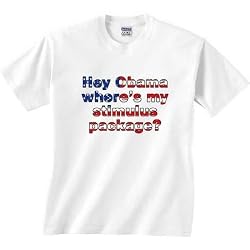 Hey Obama where's my stimulus package? Graphic t-shirt