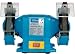Produkt-Bild: G&uuml;de 55119 Doppelschleifer 250 Watt