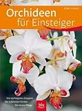 Orchideen für Einsteiger: Die wichtigsten Gruppen - Die schönsten Sorten - Die beste Pflege