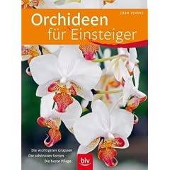 Orchideen f�r Einsteiger: Die wichtigsten Gruppen - Die sch�nsten Sorten - Die beste Pflege