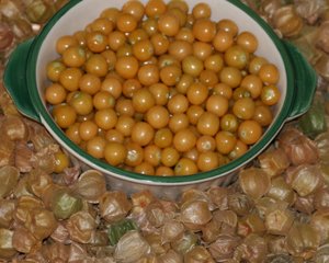 Fruit Ground Cherry (Husk) Cossack Pineapple D47101A (Yellow) 200 Organic Seeds by David's Garden Seeds