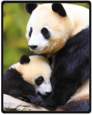 Giant Panda Soft Fleece Throw Blanket 40" x 50" (Small) Really Cheap