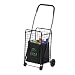 Honey-Can-Do CRT-01511 Medium Folding Shopping Cart Rolling 4-Wheel Utility Wagon, Black