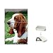 Basset Hound Flip Top Lighter