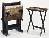 Outdoor Living : Morning Run Tv Tray Set W/stnd Set Of Four Multi
