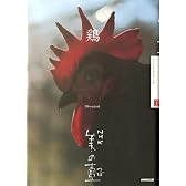 鶏 (NHK美の壺)