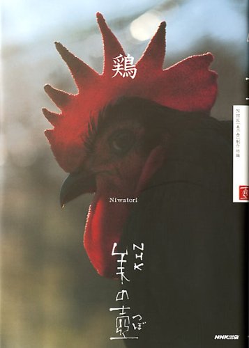 鶏 (NHK美の壺)