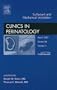 Mechanical Ventiliation and Surfactant Therapy, An Issue of Clinics in Perinatology, 1e (The Clinics: Internal Medicine)