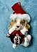 Beagle Puppy Dog Christmas Ornament