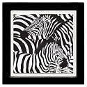 Set of Four Zebras Ambiance Coasters - Style ANES1