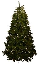 Good Tidings Cape May Fir Artificial Prelit Christmas Tree 4-1/2 Feet Tall with 250 Clear Lights