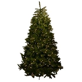 Good Tidings Cape May Fir Artificial Prelit Christmas Tree 7-1/2 Feet Tall with 750 Clear