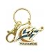 Washington Wizards Key Chain with clip