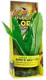 Zoo Med Naturalistic Flora Birdsnest Fern, 12-Inch