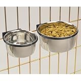 Stainless Steel Pet Coop Cup Size: 8 oz