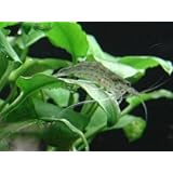 ���i�̏ڍ�