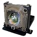 BenQ - Replacement Lamp